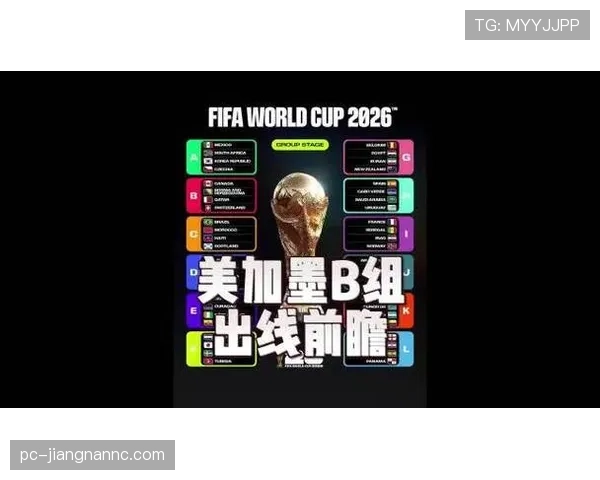 AI预测世界杯B组最大黑马球队